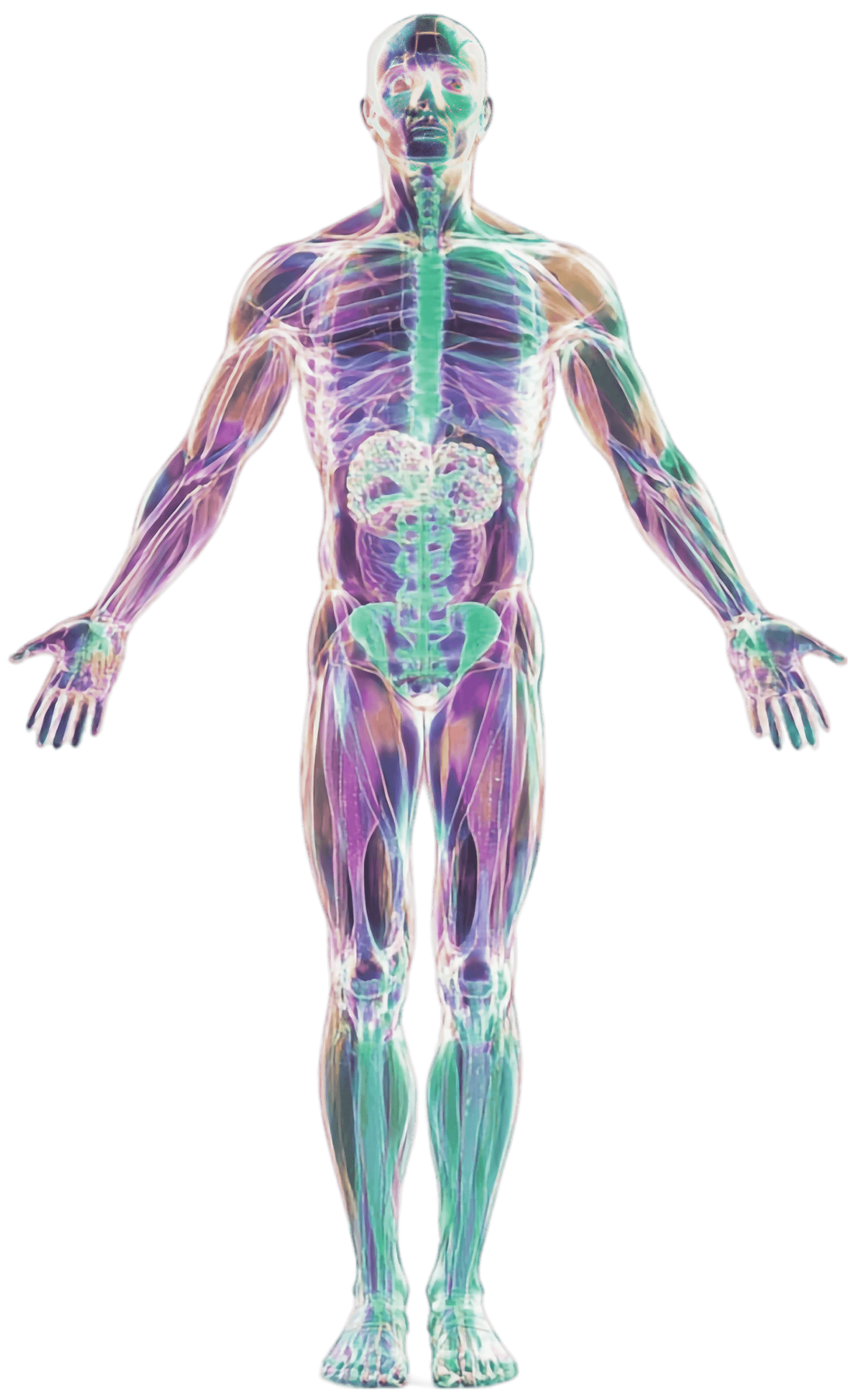 background illustration