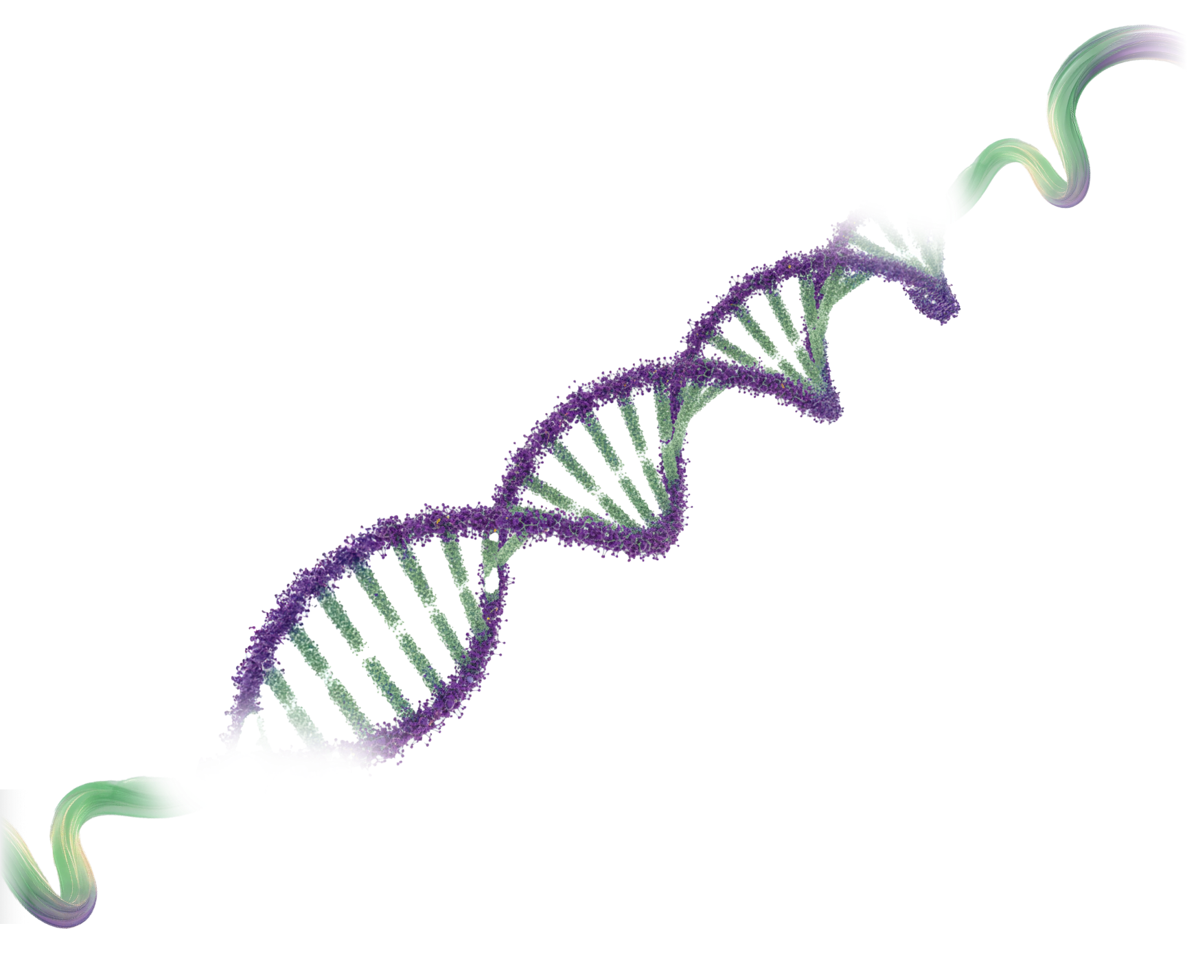 background illustration